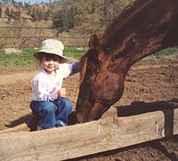 Montana Lynx - AQHA Stallion
